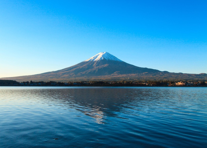 天津一例阳性/天津1例输入 天津一例阳性/天津1例输入