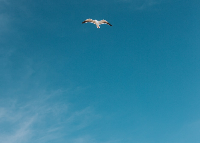 【枣庄永安疫情防控电话,枣庄永安镇最新动态】 【枣庄永安疫情防控电话,枣庄永安镇最新动态】