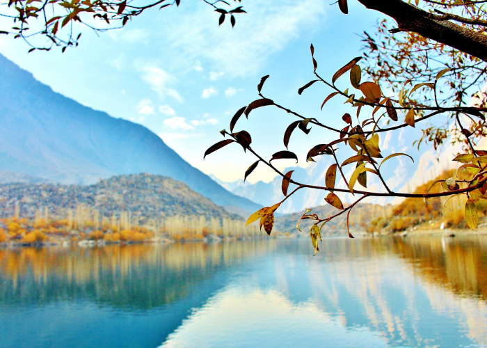 2022年的立春几月几日/2022立春是几月几号2021年 2022年的立春几月几日/2022立春是几月几号2021年