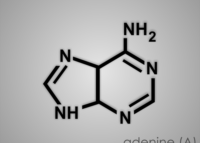 【河北今日疫情速报/河北今日疫情通报】 【河北今日疫情速报/河北今日疫情通报】