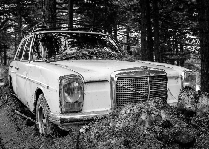 苏d车牌是江苏什么城市的/苏d哪里车牌 苏d车牌是江苏什么城市的/苏d哪里车牌