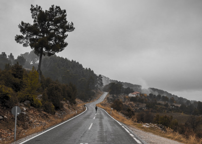 石家庄高速口封了吗/石家庄高速公路封了没有 石家庄高速口封了吗/石家庄高速公路封了没有