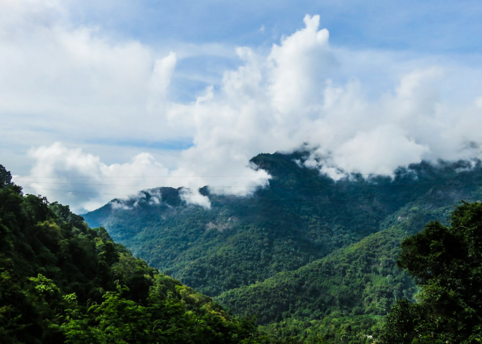 张家界一地升高风险地区:张家界高风险吗