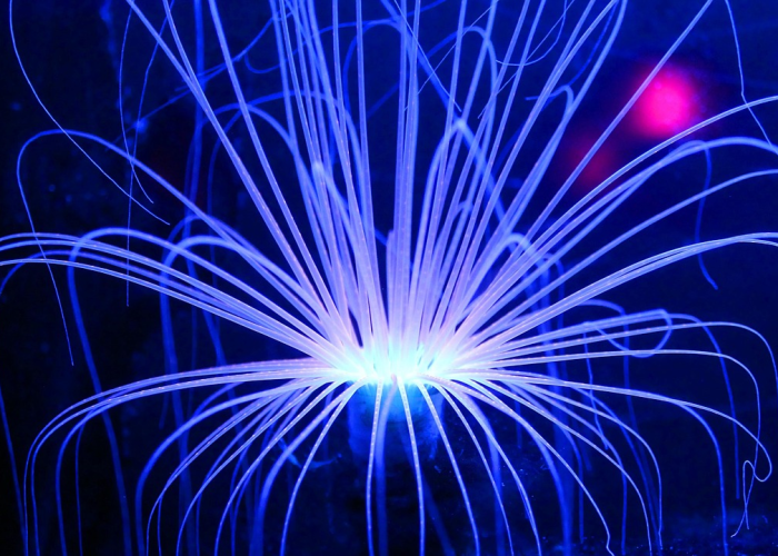 【冬奥会是几月几号开,冬奥会是几月份召开】