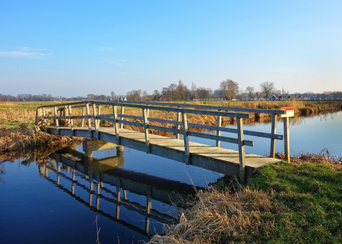 天津滨海新区疫情最新消息(天津滨海新区最新一例) 天津滨海新区疫情最新消息(天津滨海新区最新一例)