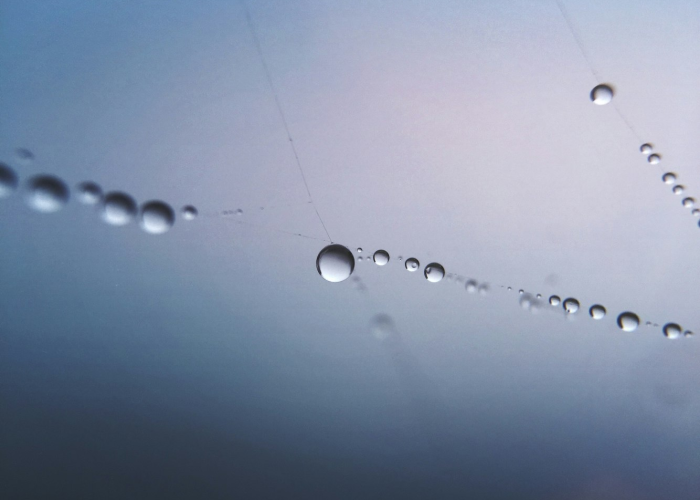 清明放假几天？三天假期背后的千年时光