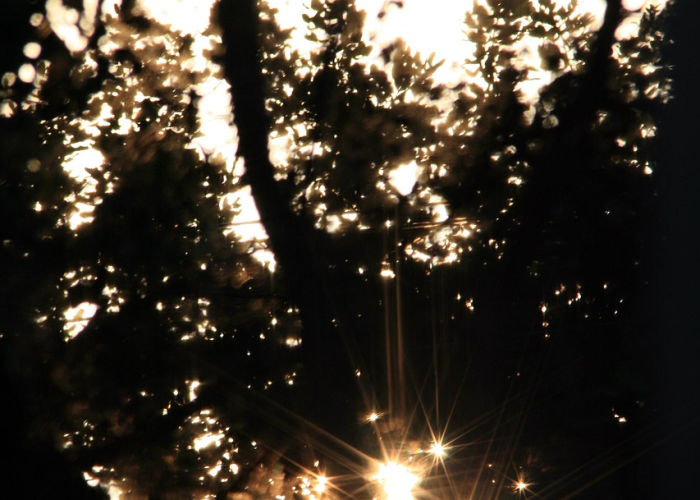 太原2021限行通知/太原限行通告