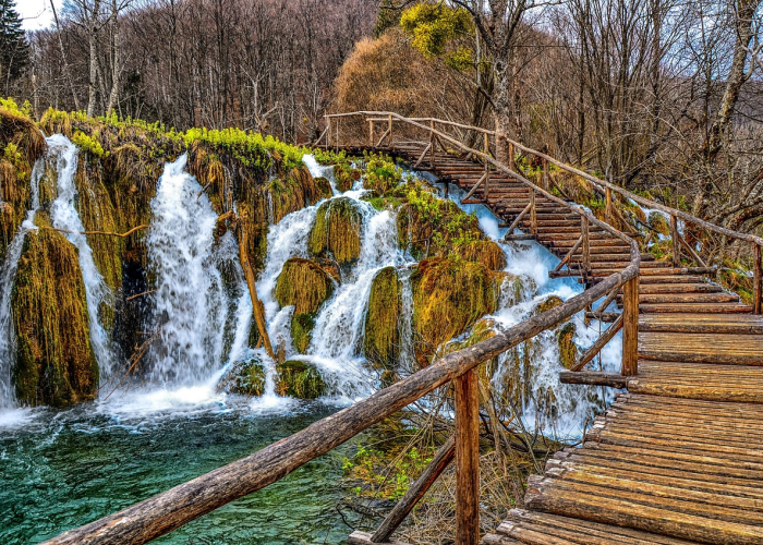 镇江确诊病例父亲确诊行踪,一条轨迹牵动一座城的抗疫神经 镇江确诊病例父亲确诊行踪,一条轨迹牵动一座城的抗疫神经