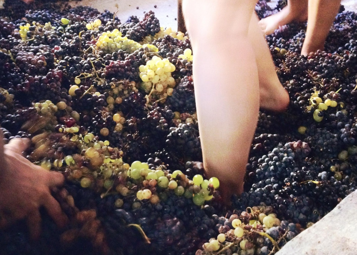 上海出现新型病毒/上海出现新冠状肺炎 上海出现新型病毒/上海出现新冠状肺炎