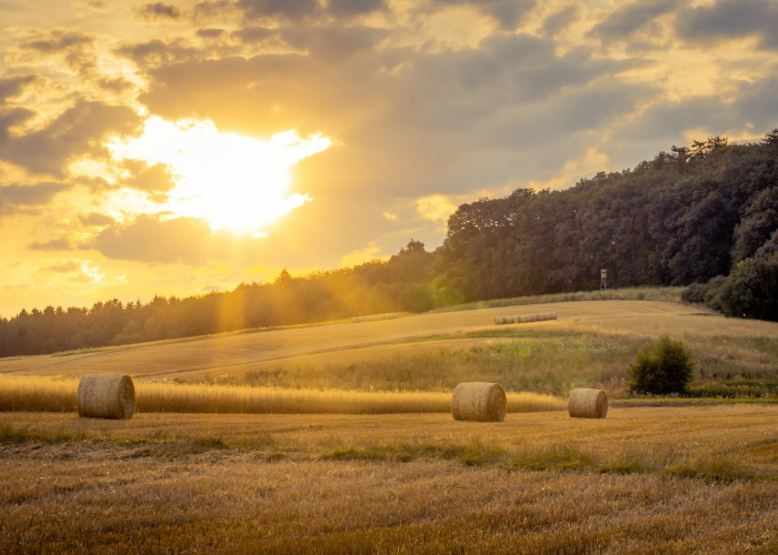 当端午遇上公历六月三日,传统节日与现代时间的温暖交汇 当端午遇上公历六月三日,传统节日与现代时间的温暖交汇