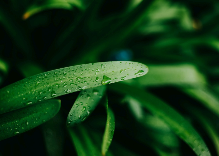 我来教大家“空谷幽兰是不是有透视辅助”(辅助开挂教程)-知乎