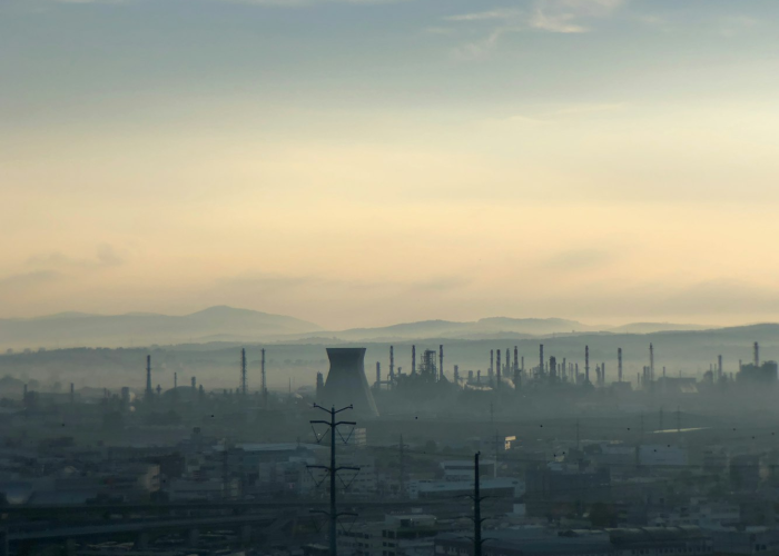 石家庄试点村，中国式现代化在华北平原的微观实践