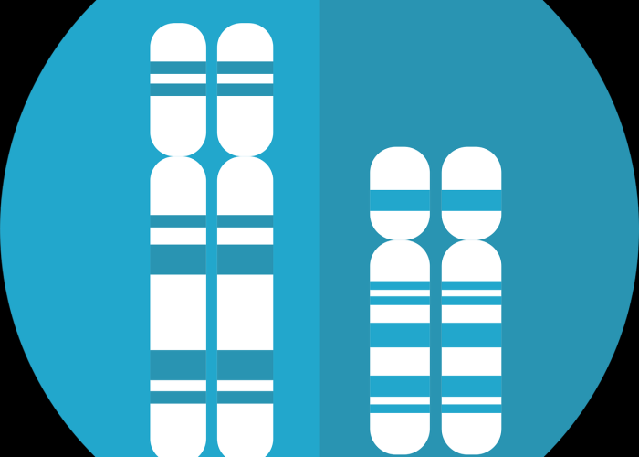 十一假期缩水之谜，3天法定假如何变身7天黄金周？