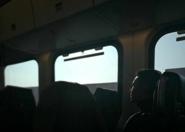 2023年清明节放假安排详解,法定假日与调休攻略 2023年清明节放假安排详解,法定假日与调休攻略