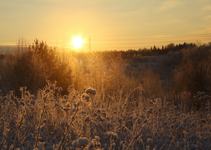 【晒太阳可以在阴凉处吗/晒太阳可以在阴凉处吗冬天】 【晒太阳可以在阴凉处吗/晒太阳可以在阴凉处吗冬天】