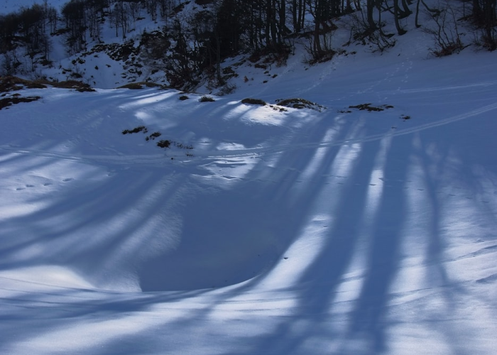 【晒太阳可以在阴凉处吗/晒太阳可以在阴凉处吗冬天】 【晒太阳可以在阴凉处吗/晒太阳可以在阴凉处吗冬天】