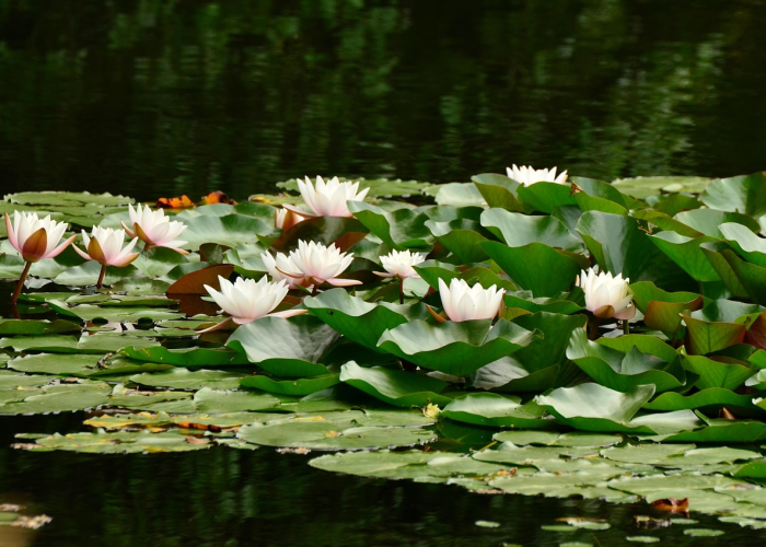 宁波艾灸馆遍地开花,传统养生如何灸出未来? 宁波艾灸馆遍地开花,传统养生如何灸出未来?