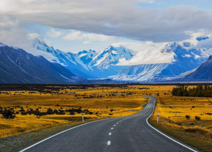天津放假半天核检通知(天津放假半天核检通知怎么发) 天津放假半天核检通知(天津放假半天核检通知怎么发)
