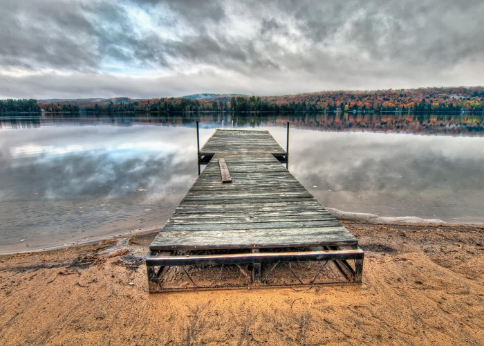 河南肺炎疫情实时动态(河南肺炎疫情实时动态报告) 河南肺炎疫情实时动态(河南肺炎疫情实时动态报告)