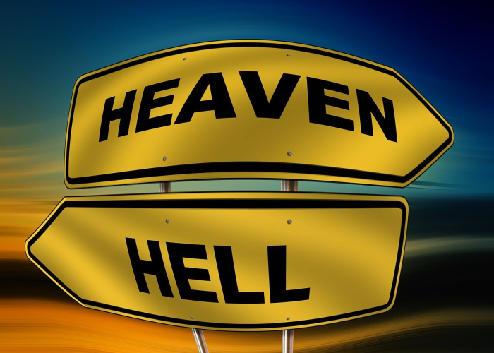 安徽新增本土39128/安徽新增本土4 79 安徽新增本土39128/安徽新增本土4 79