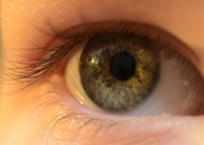 【62人感染,3677人感染】 【62人感染,3677人感染】