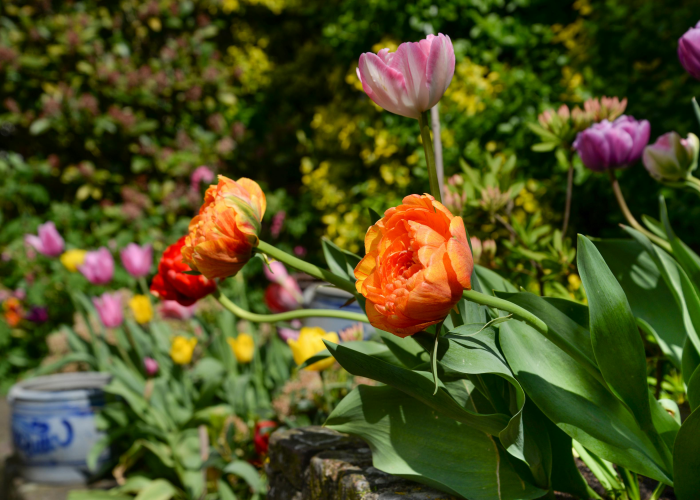 玩家实测“欢乐谷究竟怎么开挂”(详细开挂教程)-知乎 玩家实测“欢乐谷究竟怎么开挂”(详细开挂教程)-知乎