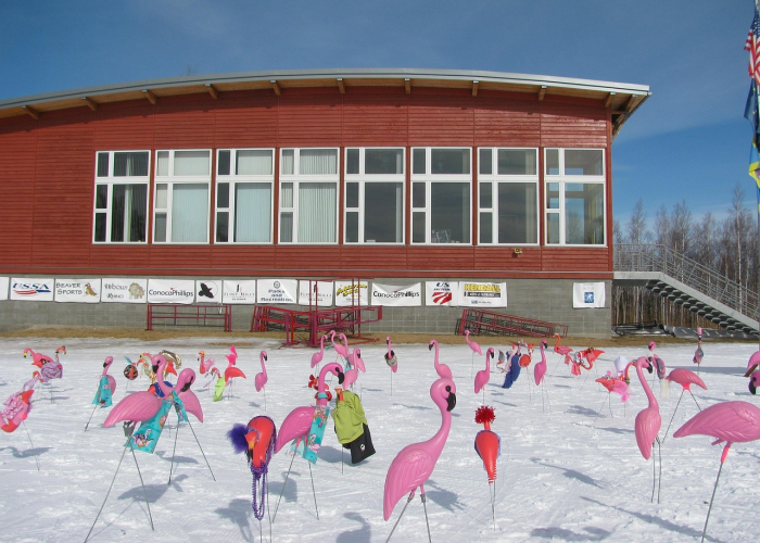 商丘回中全名/商丘回中有初中部吗