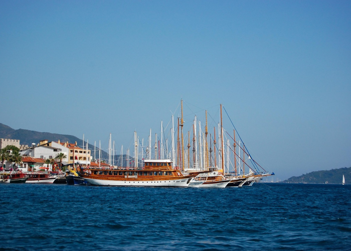 盘点必看揭秘“新蓝鲸原来有挂”(千真万确有挂)-知乎 盘点必看揭秘“新蓝鲸原来有挂”(千真万确有挂)-知乎