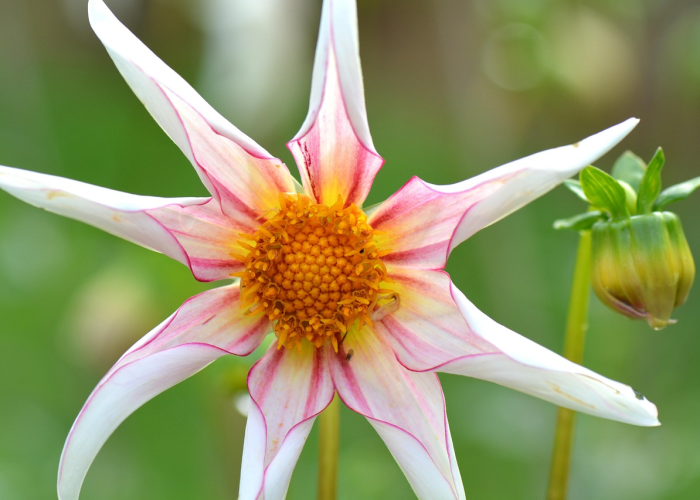 太原限行最新规定2020/太原限行最新通知2021年 太原限行最新规定2020/太原限行最新通知2021年