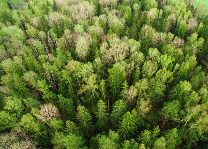 2023高速免费最新通知图片/2023高速免费最新通知图片查询 2023高速免费最新通知图片/2023高速免费最新通知图片查询