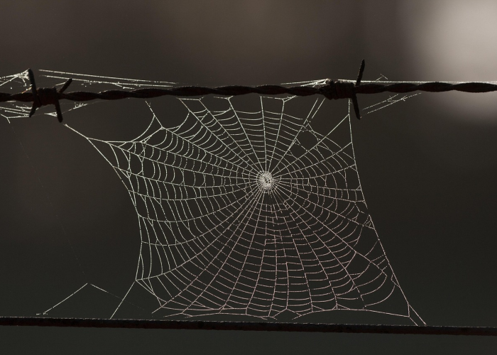 青岛核酸检测，千万人口大城的防疫刻度尺