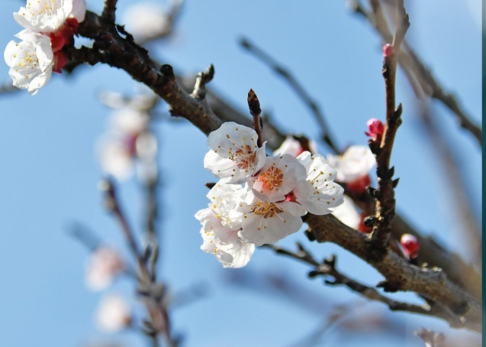 东风日产越野车/东风日产越野车图片 东风日产越野车/东风日产越野车图片