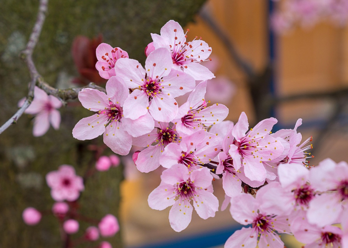 【英雄岛脚本,英雄岛gm脚本】 【英雄岛脚本,英雄岛gm脚本】