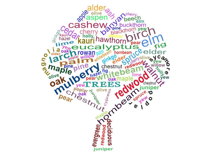 【全国肺炎最新消息公布图,全国肺炎疫情最新分布图】