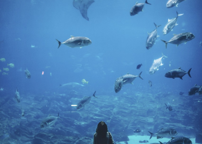 时间之锚,2021年河北高考日背后的集体记忆 时间之锚,2021年河北高考日背后的集体记忆