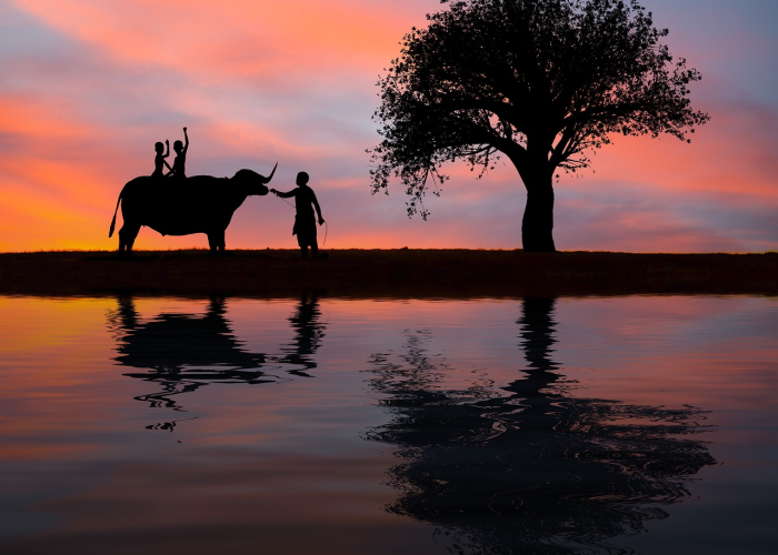 玩家实测“中至乐平麻将有没有透视软件挂”(开挂透视教程)-知乎 玩家实测“中至乐平麻将有没有透视软件挂”(开挂透视教程)-知乎