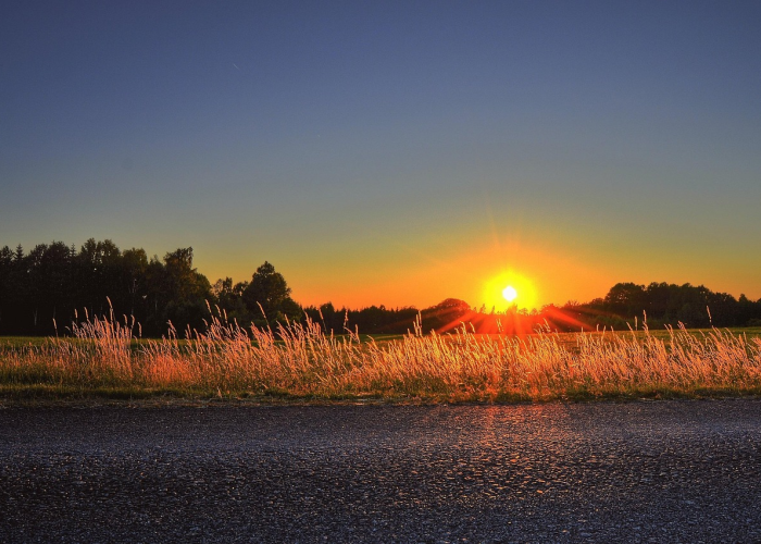 此心安处是吾乡，从鼓励留下到温暖抵达的春节新叙事