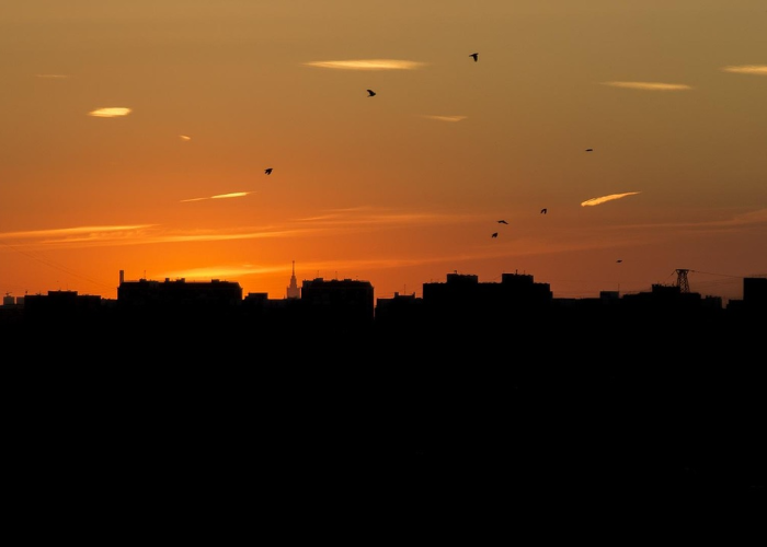 厦门新增3例确诊病例在哪里?活动轨迹与防控措施详解 厦门新增3例确诊病例在哪里?活动轨迹与防控措施详解