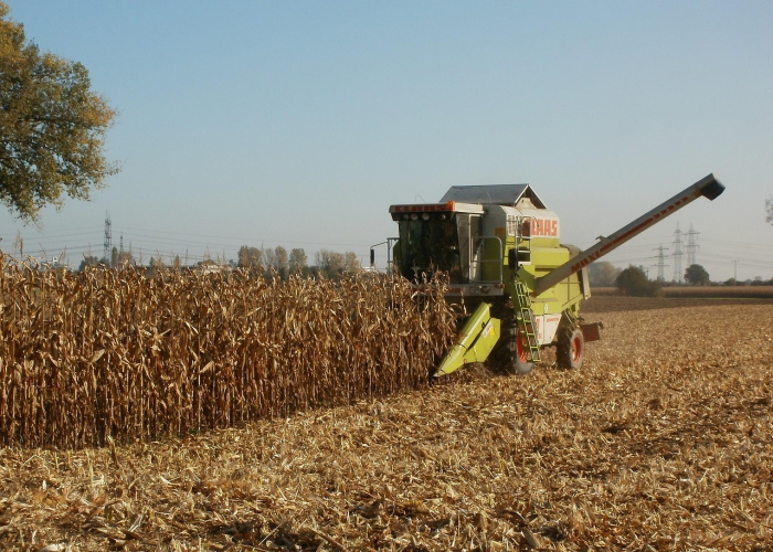 【返乡啥意思?,返乡人员什么意思】 【返乡啥意思?,返乡人员什么意思】