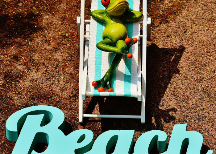 纽约马拉松被取消的原因(纽约马拉松被取消的原因有哪些) 纽约马拉松被取消的原因(纽约马拉松被取消的原因有哪些)