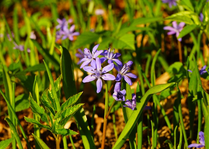给大家科普一下“空谷幽兰透视软件教程”(透视详细教程)-知乎