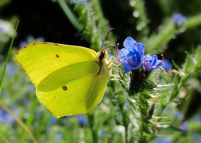 给大家科普一下“空谷幽兰透视软件教程”(透视详细教程)-知乎