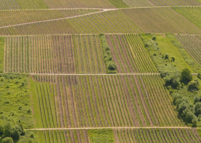给大家科普一下“乐乐上海麻将究竟有没有开挂”(透视详细教程)-知乎