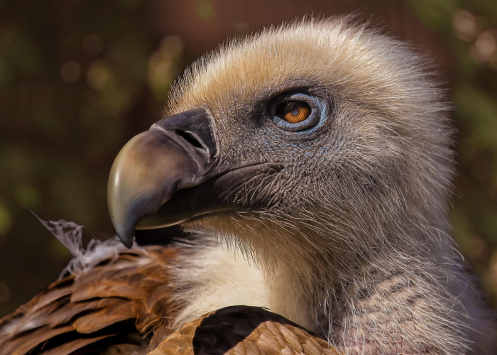 我来告诉大家吉利比鸡确实有挂”(透视详细教程)-知乎 我来告诉大家吉利比鸡确实有挂”(透视详细教程)-知乎