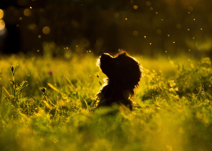 疫情正能量暖心简单一句话（最新疫情正能量句子）