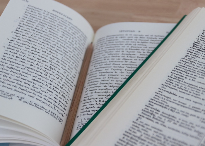 【沈阳新增病例是哪个学校的,沈阳新增病例是哪个单位的】