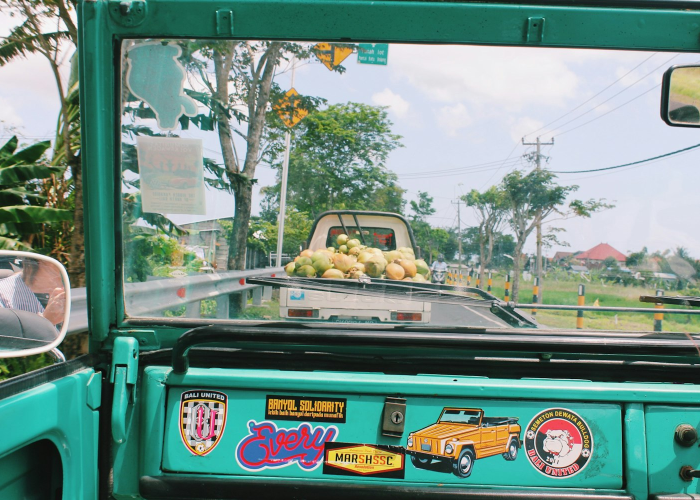 宇通69座大巴车有多长:宇通69座大巴车有多长毫华大客车