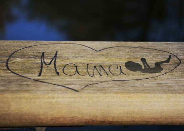 被网暴的母亲,当母爱成为病毒之外的次生灾害 被网暴的母亲,当母爱成为病毒之外的次生灾害