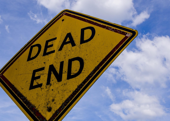 白城，疫情下的生命韧性