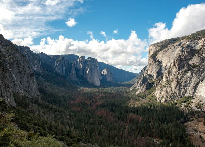 冬奥会有多久?从17天到跨越百年的冰雪之约 冬奥会有多久?从17天到跨越百年的冰雪之约